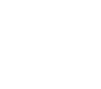 icône livraison rapide